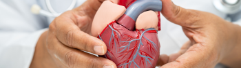 Fisioterapia Cardiovascular: Terapias para Mejorar la Función Cardíaca y Circulatoria Fisioterapia Cardiovascular: Terapias para Mejorar la Función Cardíaca y Circulatoria