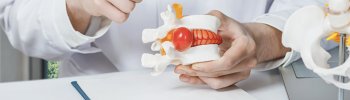 Hernia Discal: Causas, Síntomas y Tratamientos Hernia Discal: Causas, Síntomas y Tratamientos