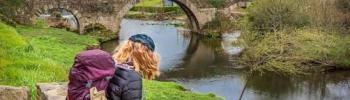 Camino de Santiago