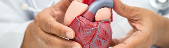 Fisioterapia Cardiovascular: Terapias para Mejorar la Función Cardíaca y Circulatoria