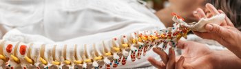Principios Fundamentales de la Osteopatía Craneal: Restauración del Equilibrio en el Sistema Nervioso Principios Fundamentales de la Osteopatía Craneal: Restauración del Equilibrio en el Sistema Nervioso