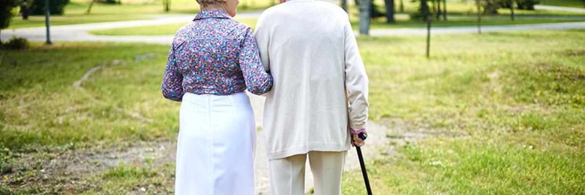 Paseos Saludables en Logroño: cómo caminar puede transformar tu salud y tu bienestar
