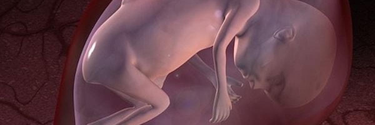 Disrafismos Espinales de lo Oculto a lo Complejo Implicaciones Clínicas y Funcionales 