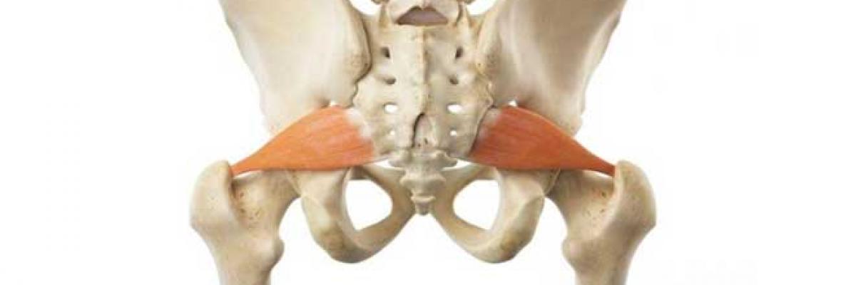 Protocolo de tratamiento mediante la fisioterapia para el síndrome piramidal -  FisioClinics Logroño