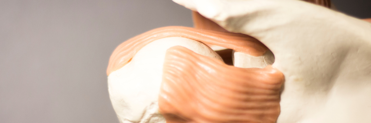 Fortalecimiento muscular específico para prevenir la tendinitis del hombro